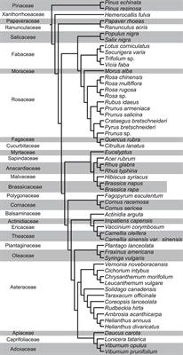 Dietary foundations for pollinators: nutritional profiling of plants for bee health